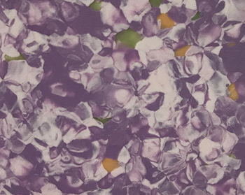 潍坊塑胶地板 潍坊塑胶地板